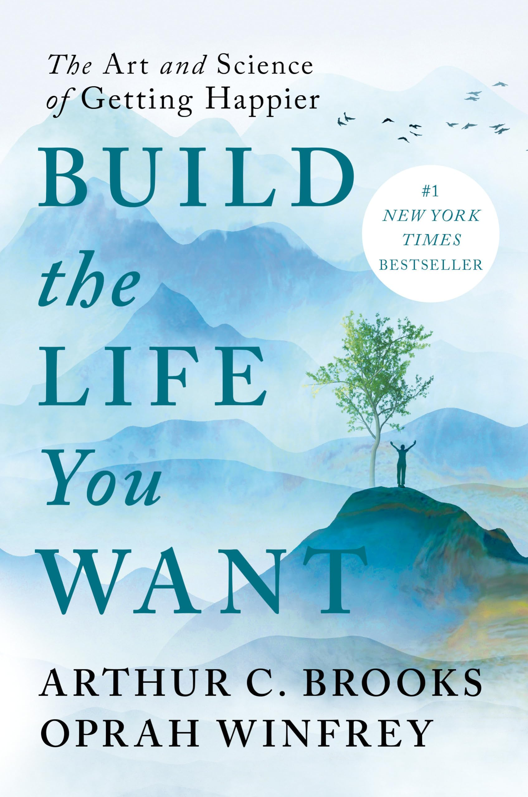 Book cover for Build the Life You Want